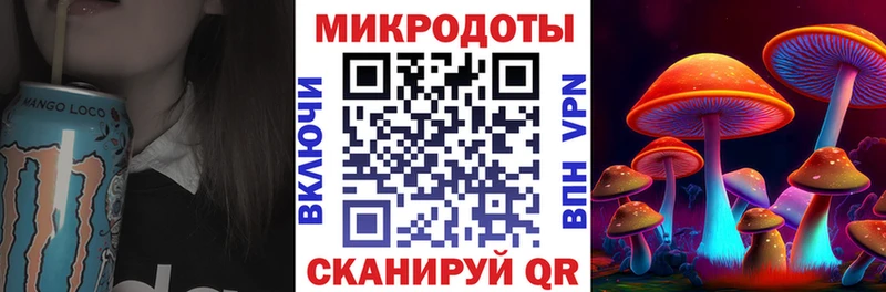 как найти наркотики  гидра как войти  Псилоцибиновые грибы Psilocybe  Высоцк 